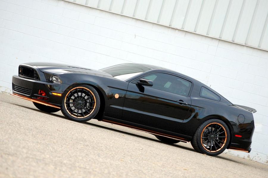  Ford Mustang Bad Penny by CDC 2014 года  (фото 8 из 9)